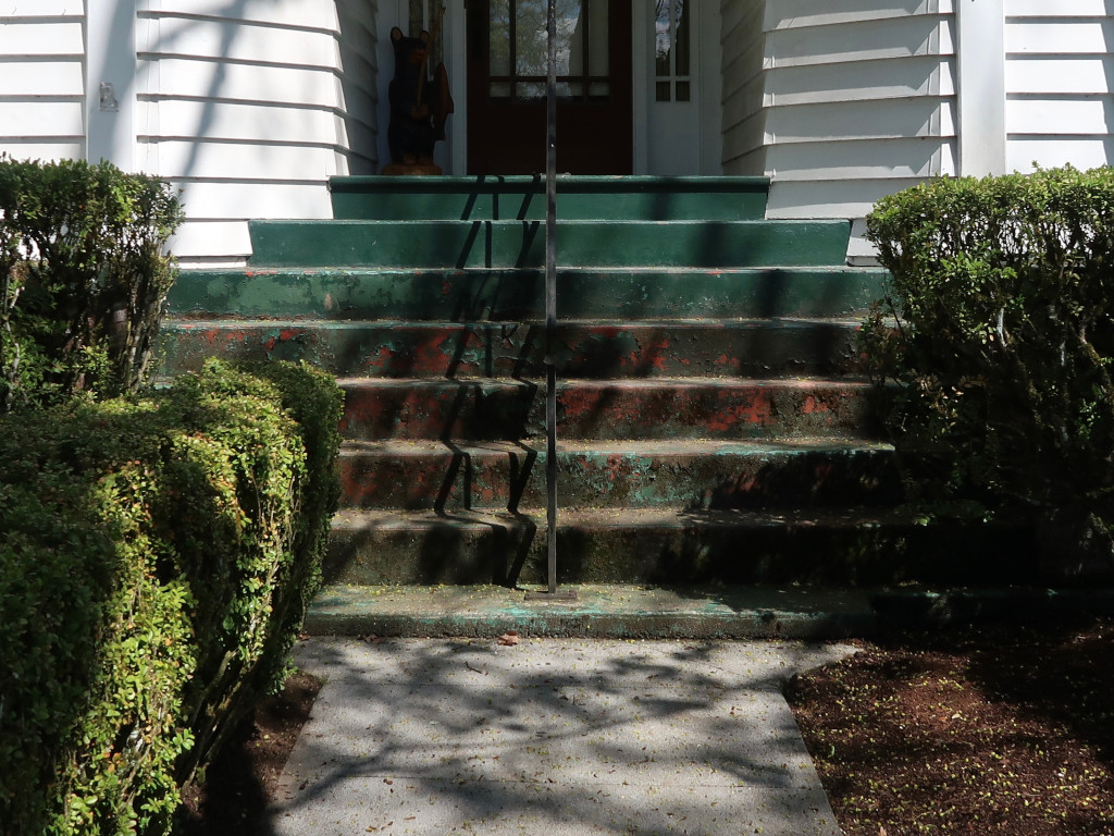 What We Do Front Steps Before